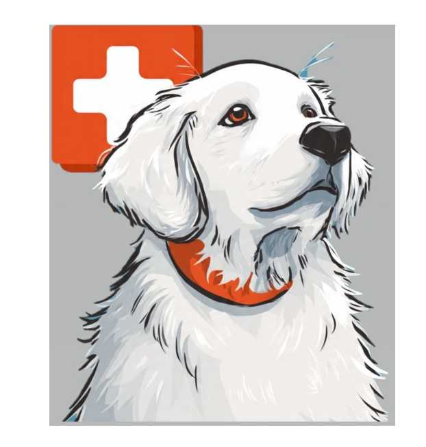 PetFirst Aid Kit
